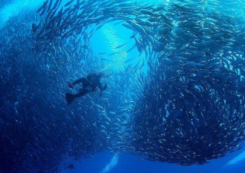 河南一地对全域人员赋红黄码,当地的疫情为何如此严峻?-专业知识问答网页